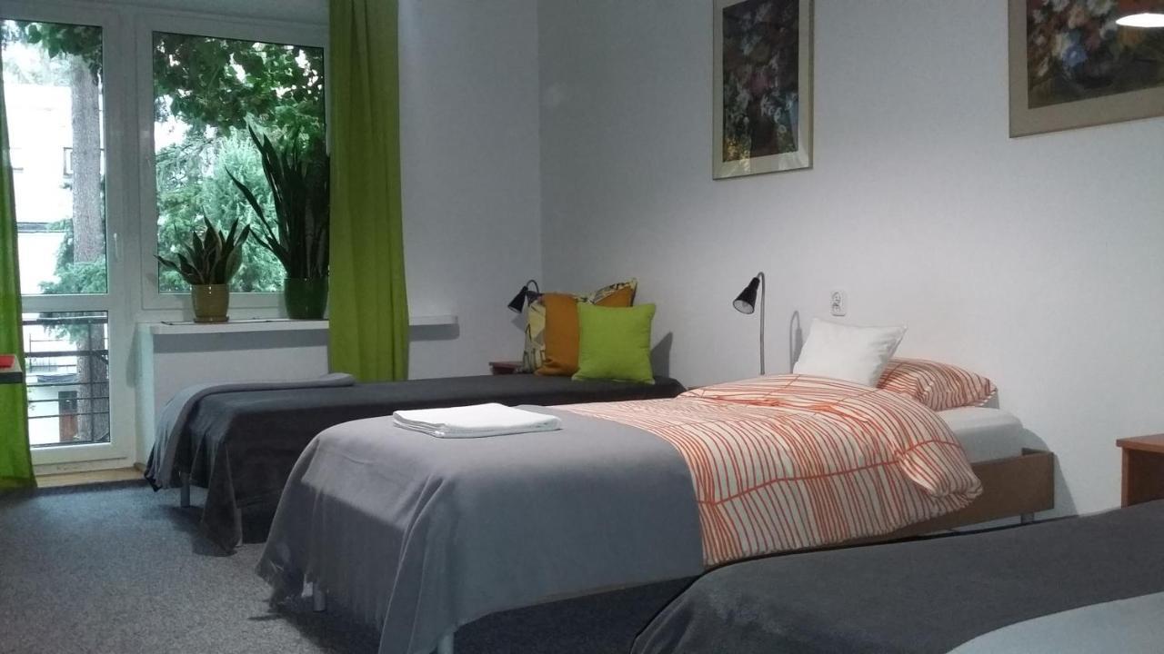 Homestay Animrumru
